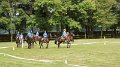 DSC00014 (3)