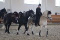 IMG_8887