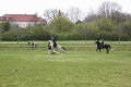 IMG_9122