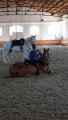 IMG_20240719_144518