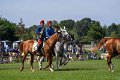 DSC02901