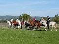 IMG-20240413-WA0061