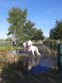 IMG_20240413_165557